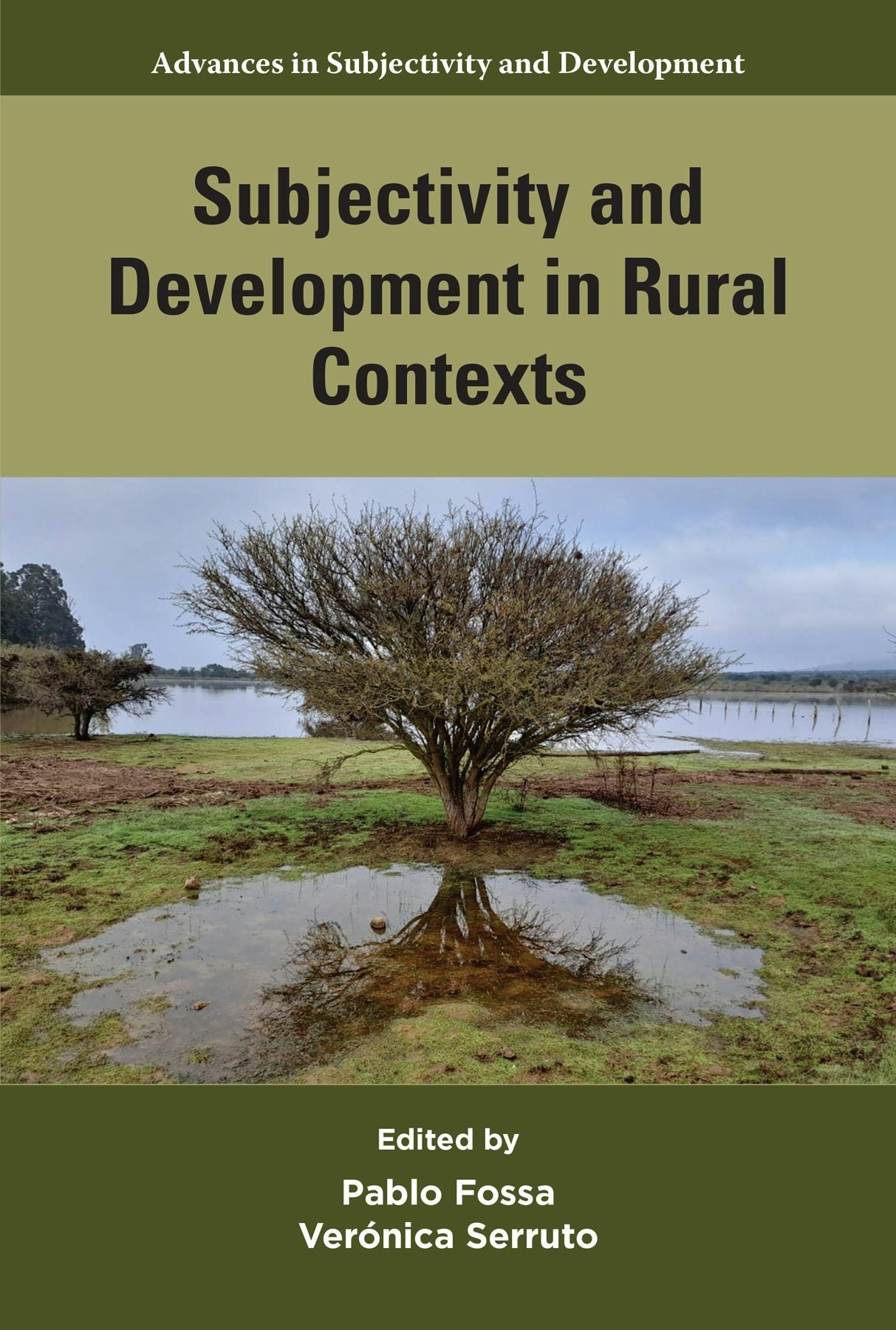 Book cover image for Subjectivity and Development in Rural Contexts ISBN: 9781805922988